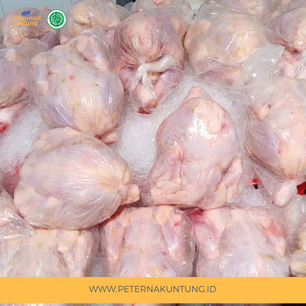 

Ayam Karkas 0.6 - 0.7 kg (ukuran masakan padang)