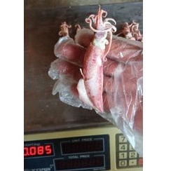 

Cumi Asin Jumbo 100g uk.5-8 cm