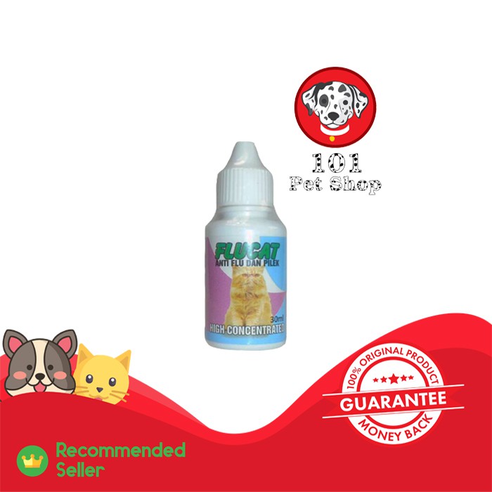 OBAT FLU CAT UNTUK KUCING