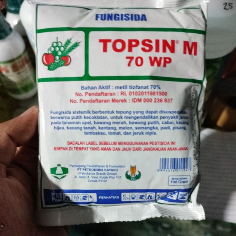 FUNGISIDA TOPSIN 100 GR