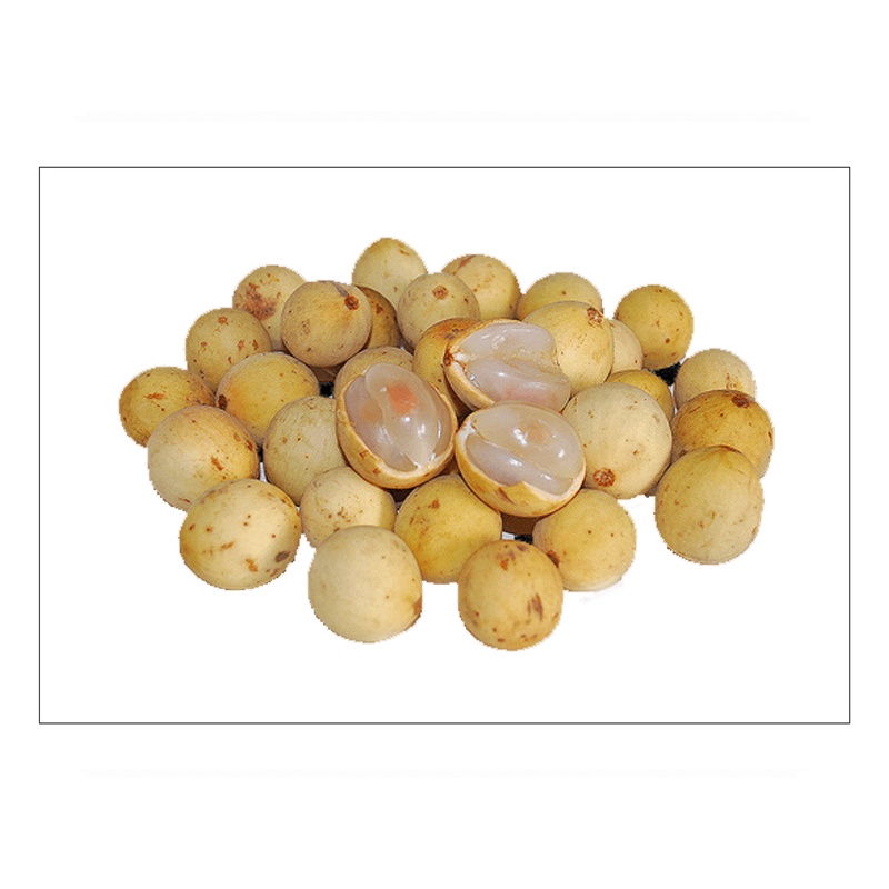 

Buah Duku Palembang