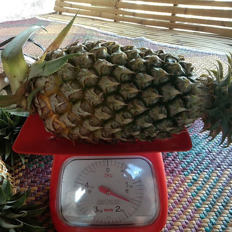 

Nanas