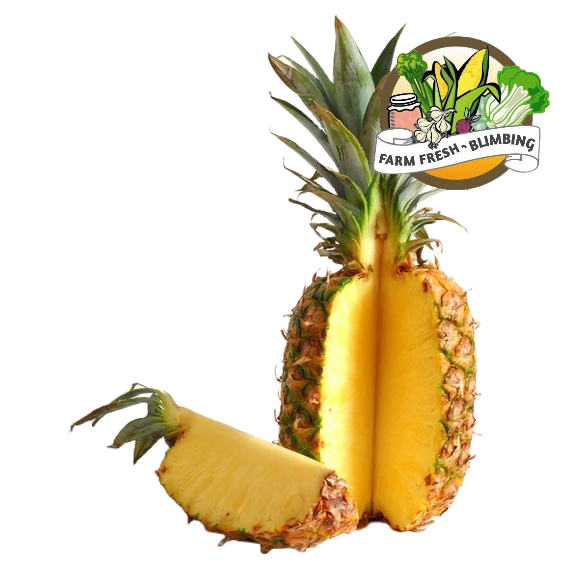 

Nanas Madu Sedang 1 pcs