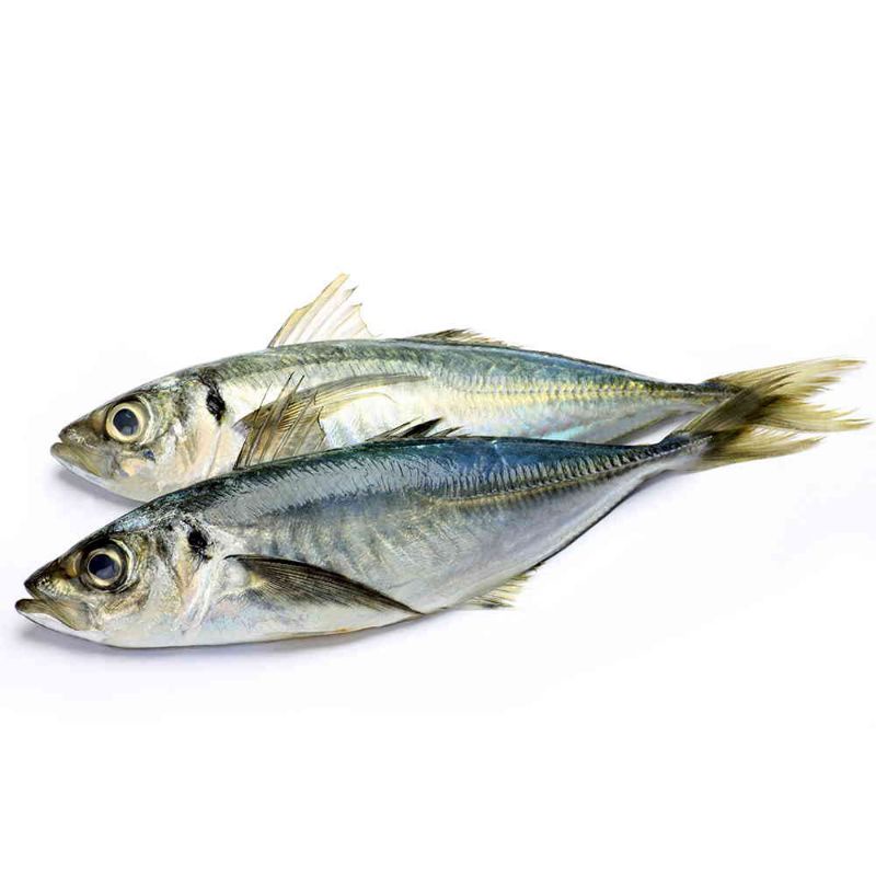 

KEMBUNG BANJAR KECIL 1KG