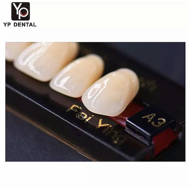 1 strip gigi palsu Anterior Depan YP SYNTHETIC | artificial acrylic teeth akrilik #yp #synthetic #muldent