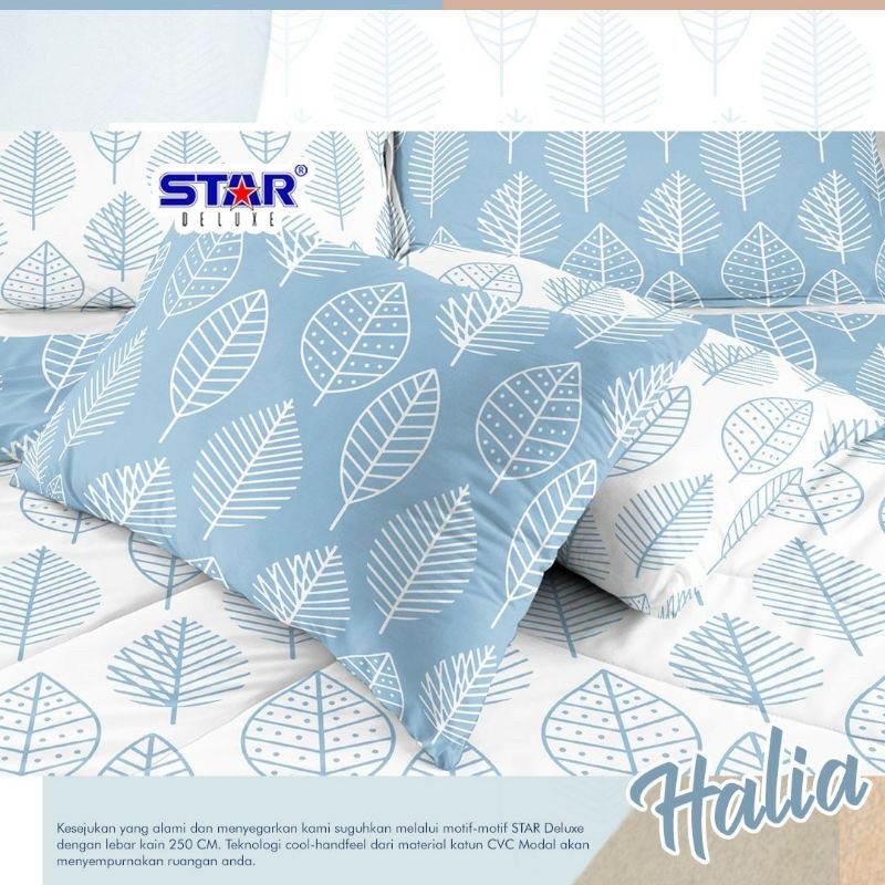kakn sprei meteran halia star
