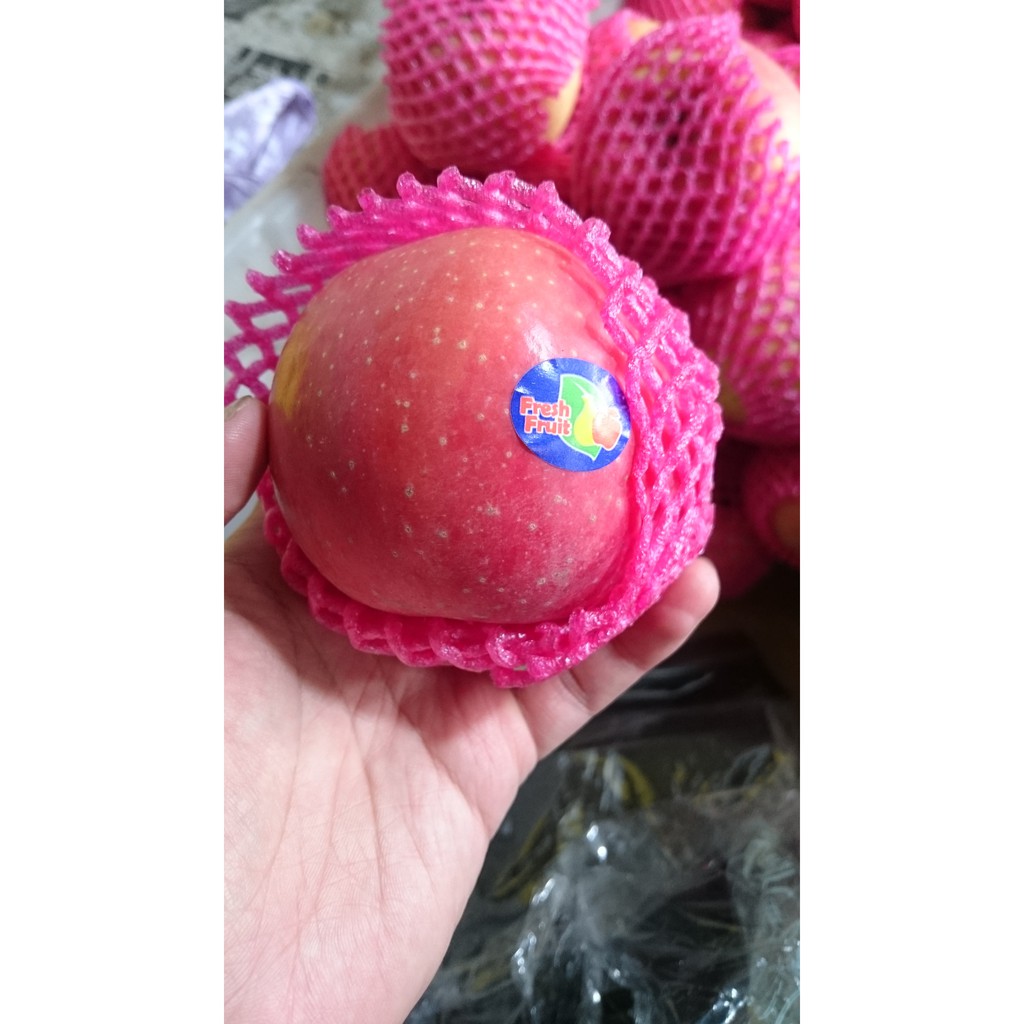 

Apel Fuji Puji Fresh Fruit