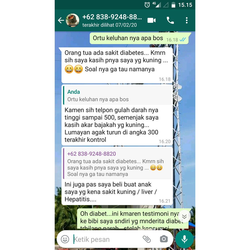 Bajakah Kayu Bajakah Akar Kuning 100 Asli Kalimantan Shopee Indonesia