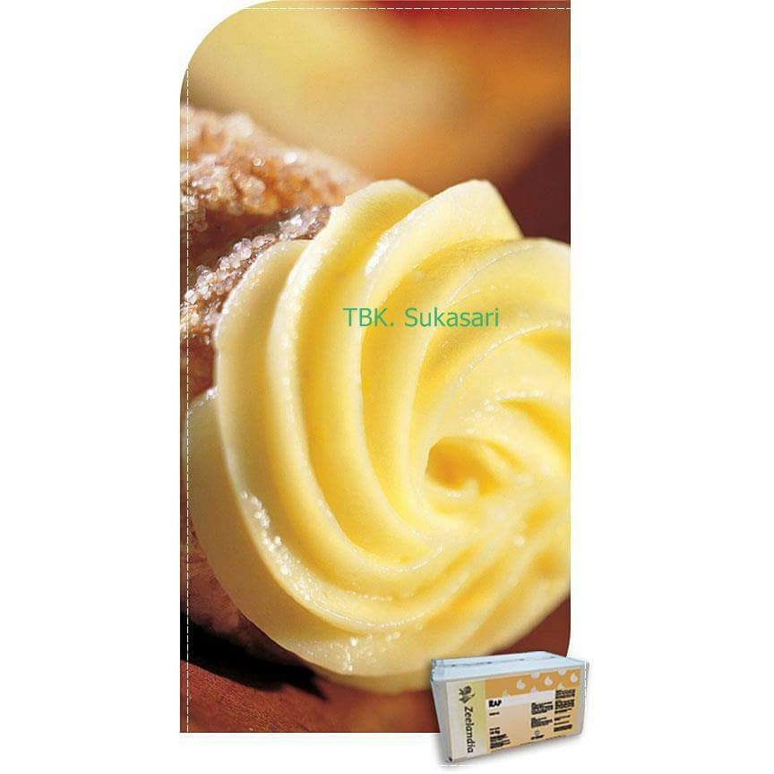 

RAP custard powder Zeelandia 500gr instant custard powder bubuk fla vla