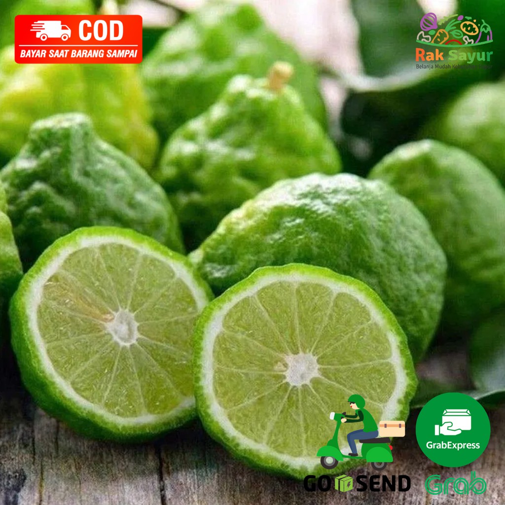 

Sayuran Segar Rak Sayur Padang Buah Jeruk Purut Limau Puruik Sundai Fresh Obat Herbal per Buah