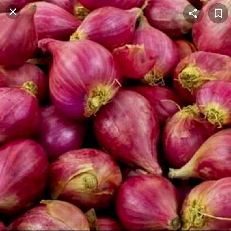 

Bawang Merah Brebes 1 kg