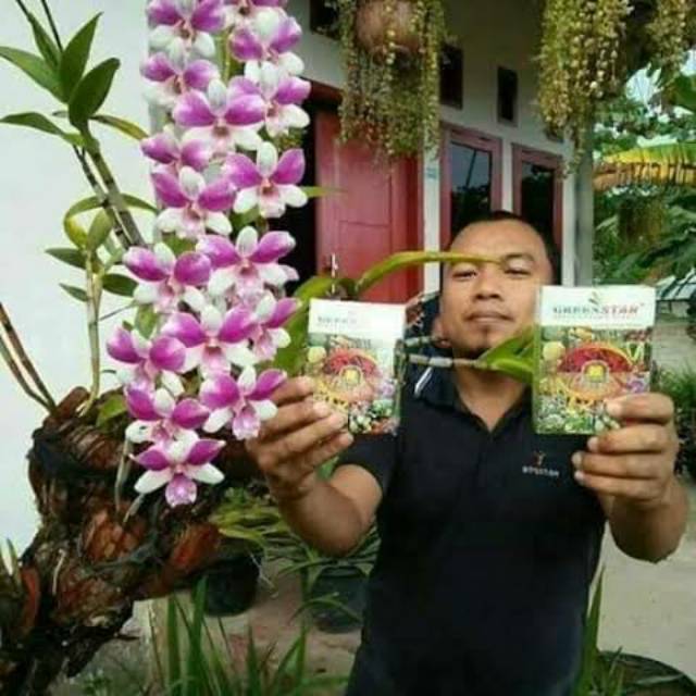 

Greenstar