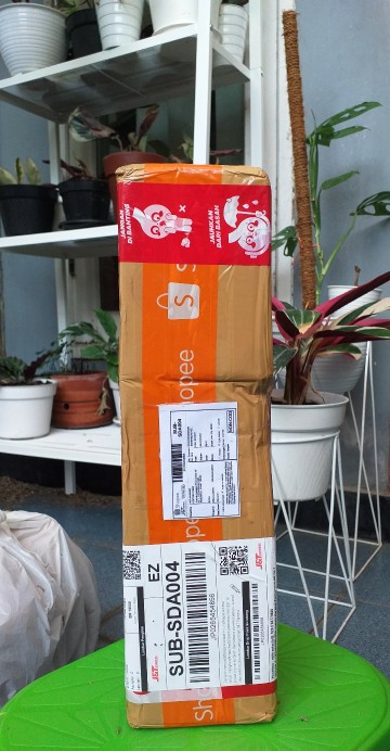 Tanaman Sirih Keraton Tanaman Rambat