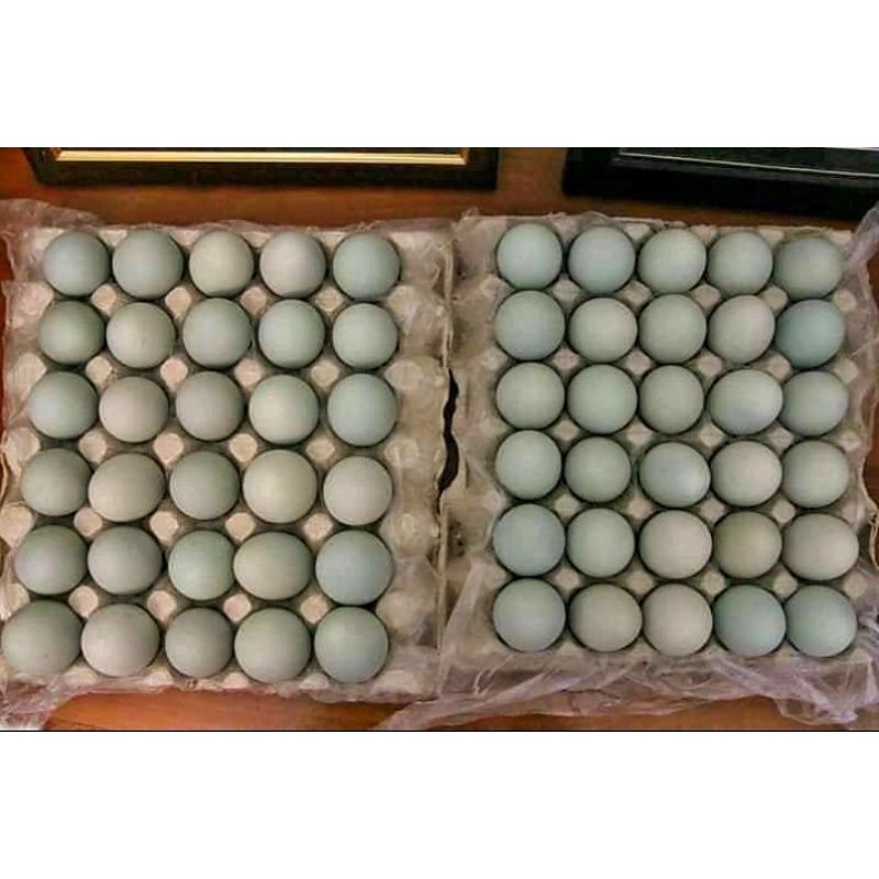

telur asin(sudah direbus)harga perbutir.