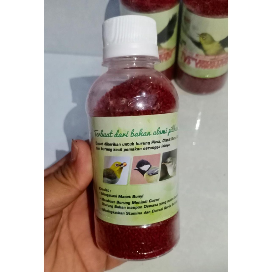 VOER ZOMO RED MY ZOSTEROPS MONSTER VOER HARIAN DAN LOMBA UNTUK PLECI