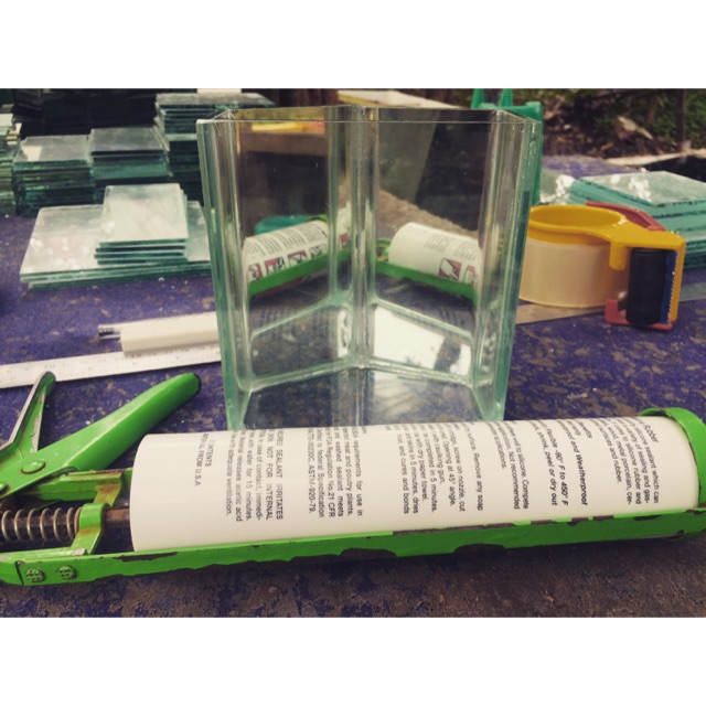 Soliter selfie segi lima soliter segi 5 soliter Selfi soliter ikan cupang soliter cupang