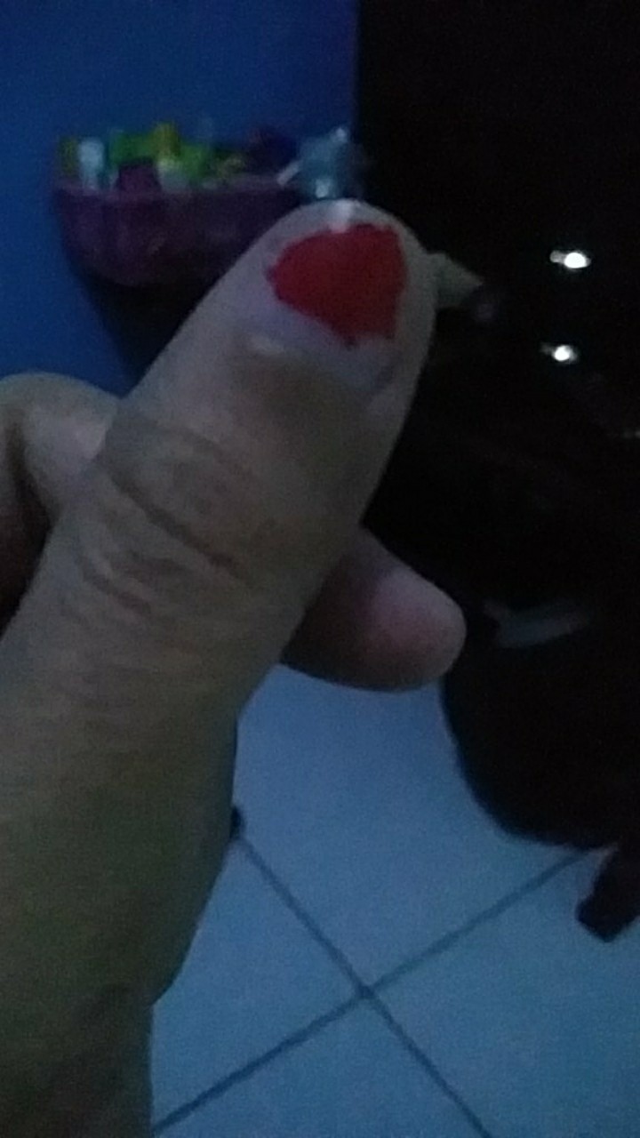 Panci Presto Niko 8 Liter 24 Cm Tutup Kaca Pressure Cooker Niko 2 In 1