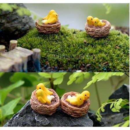 Miniatures - Terrariums - Fairy Garden - Animal_Birds (1pc)