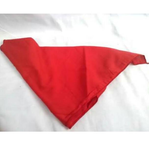 READY STOCK Syal paskibra /scraf paskibra/ syal leher merah Paskibra 𝄞 876