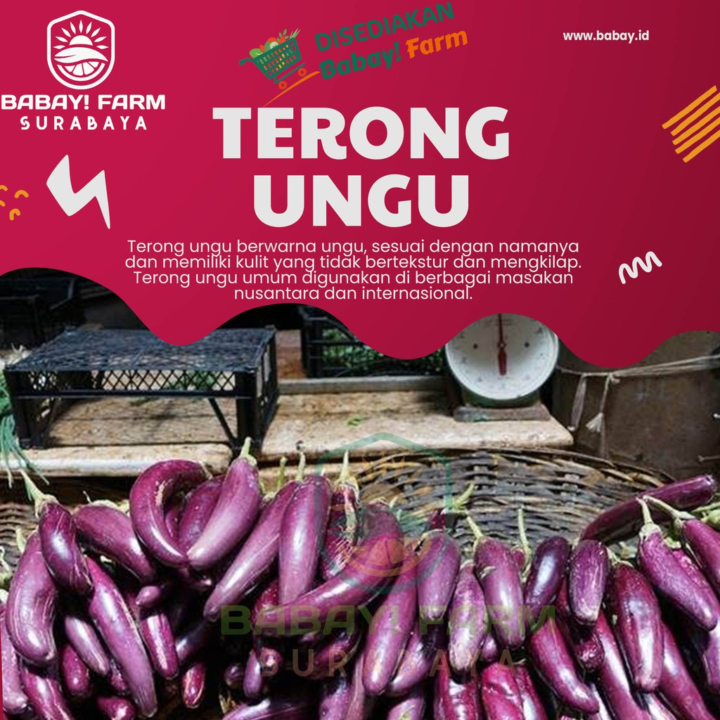 

Terong Ungu Lokal 500 gr / 1 kg