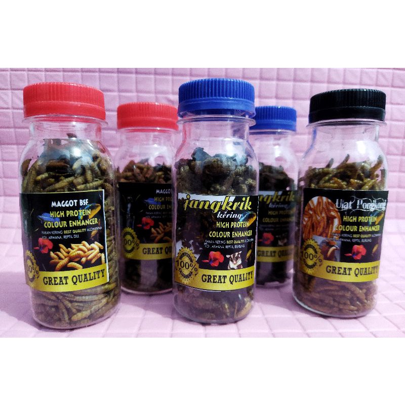 magot kering-jangkrik kering-ulat hongkong kerin repak botol-pakan ikan channa/burung/reptile