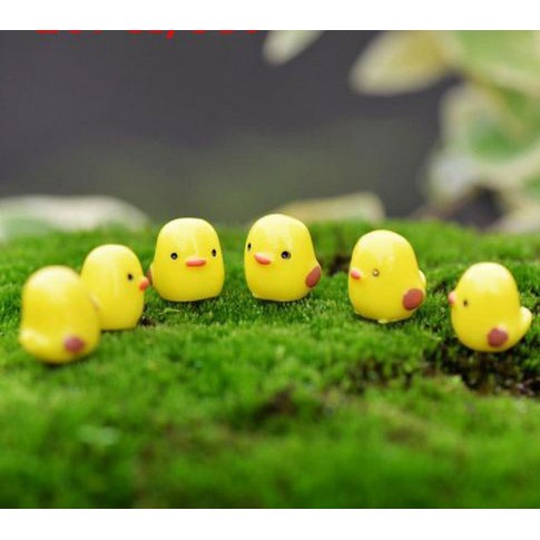 Miniatures - Terrariums - Fairy Garden Animal_Chicks (5pcs)