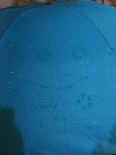 Payung Magic 3d Muncul Motif Jika Basah Bonus Sarung / Payung Lipat / Payung Anti Uv