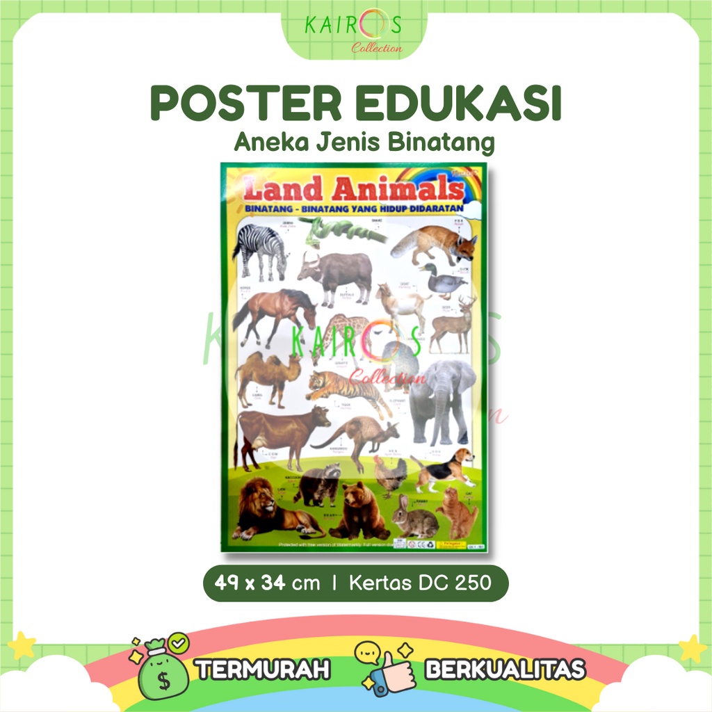 Poster Edukasi Anak Aneka Jenis Binatang Darat, Laut, Udara