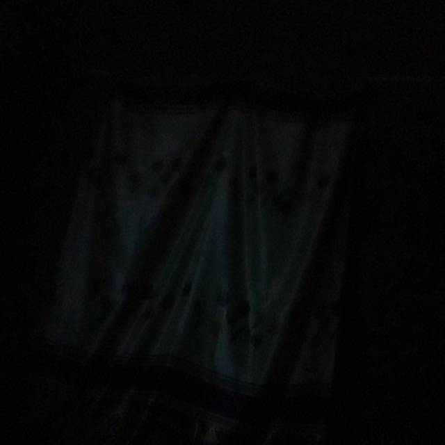liacellsukses