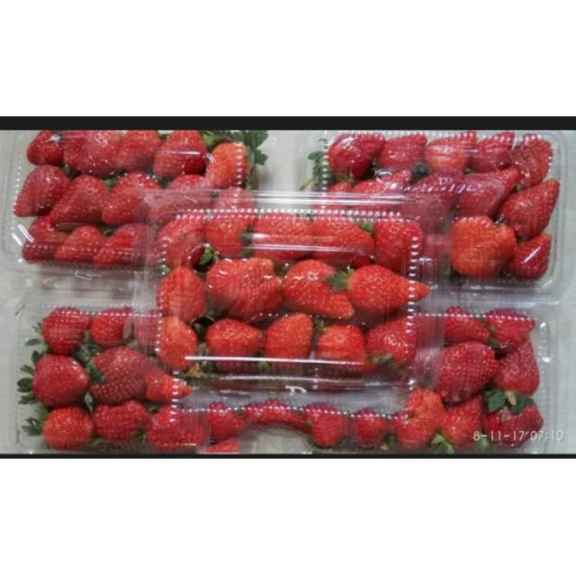

strawberry organik