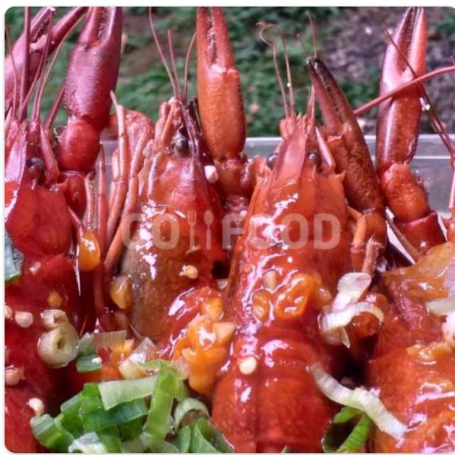 

Lobster air tawar