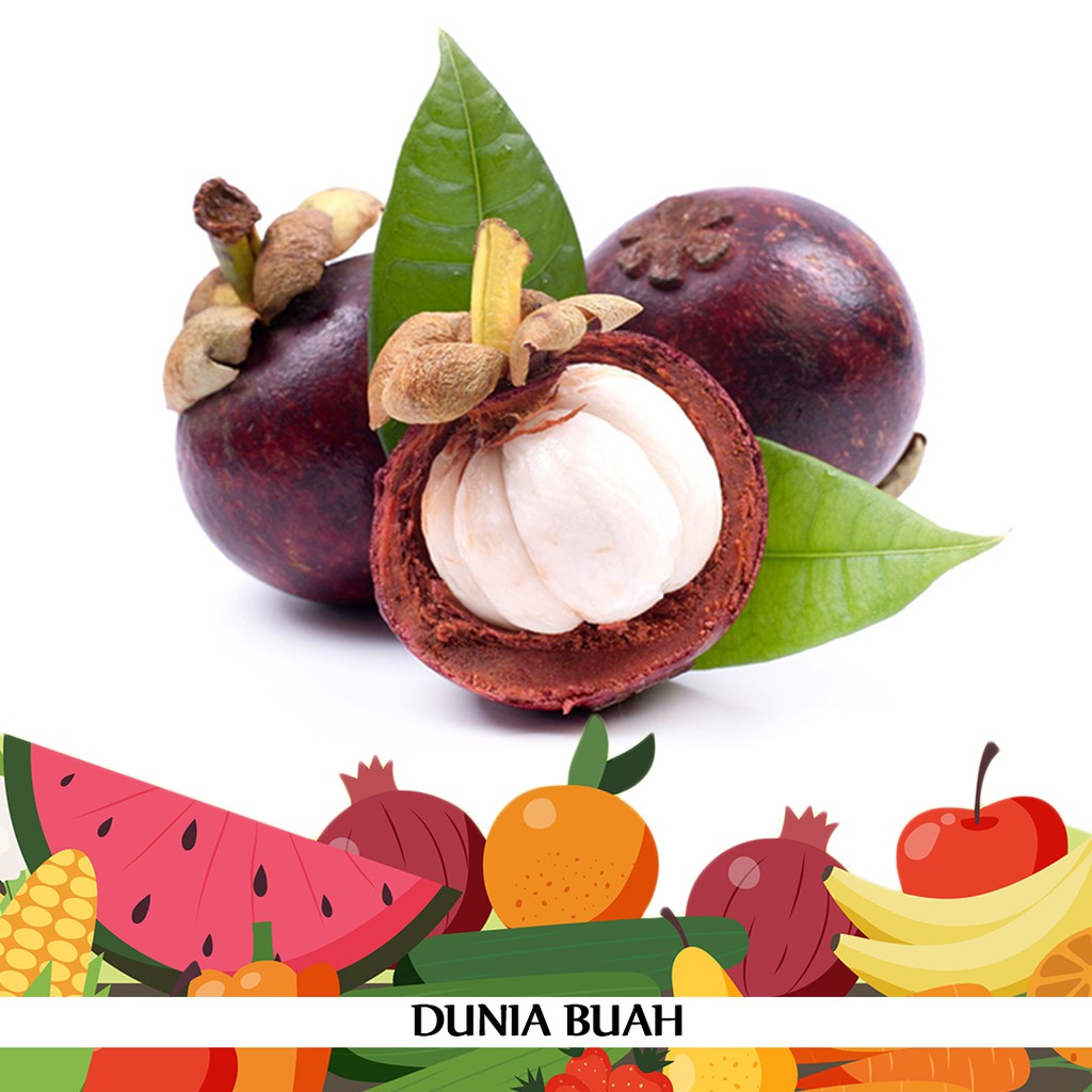 

Buah Manggis Fresh 1KG by Dunia Buah
