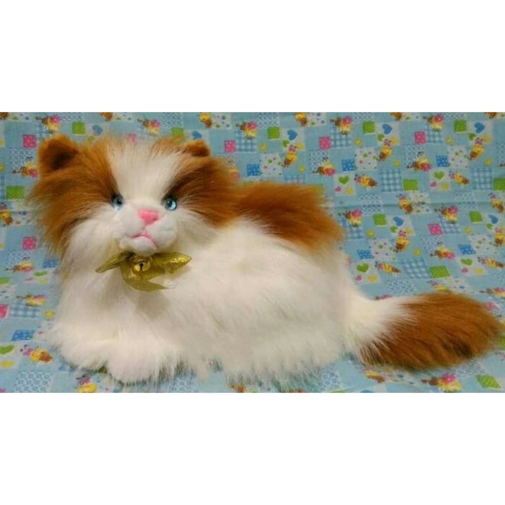 Boneka Kucing Anggora Putih Coklat