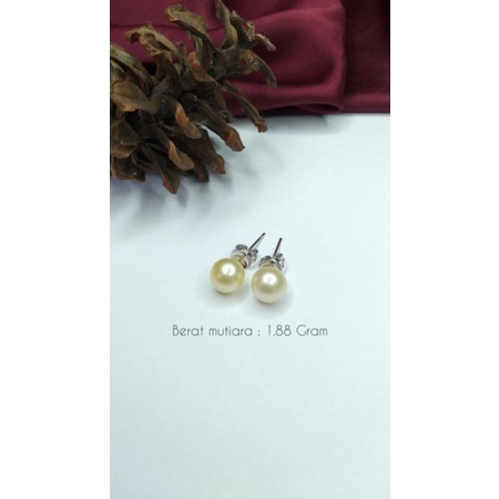 Mutiara Lombok Asli | Giwang rhodium mutiara air laut