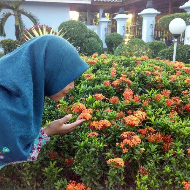 devy_ariviani92