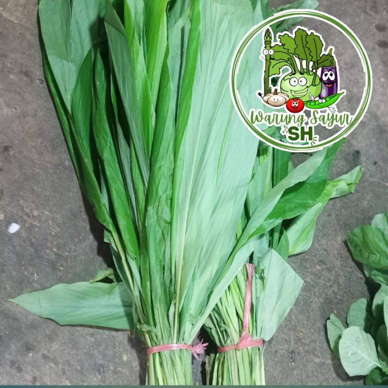 

DAUN KUNYIT SEGAR 250 GRAM | DAUN KUNIR | FRESH VAGETABLE