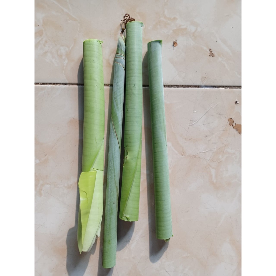 Pucuk pisang raja bulu muda / Pucuk daun pisang raja