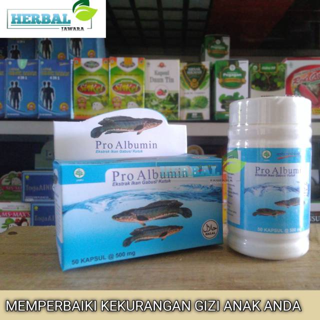 Pro albumin kapsul minyak ikan kutuk bagus untuk perkembangan otak anak anda c
