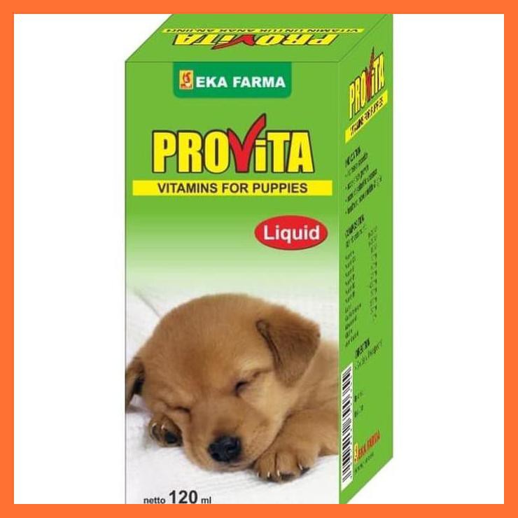 Vitamin Untuk Anak Anjing Vitamin Anjing