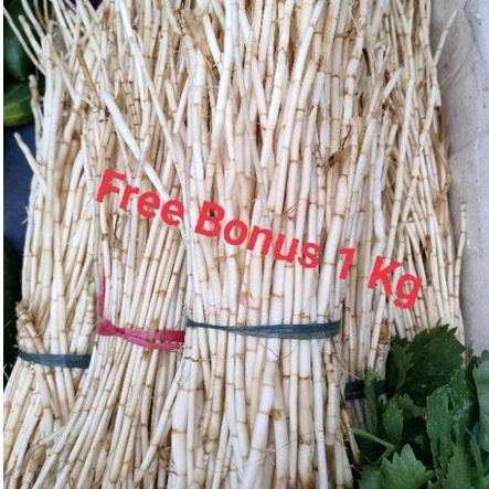 

Alang Alang+ Gratis Bonus