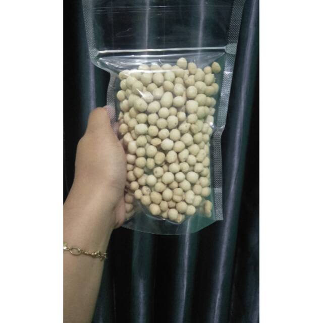 

pilus kencur