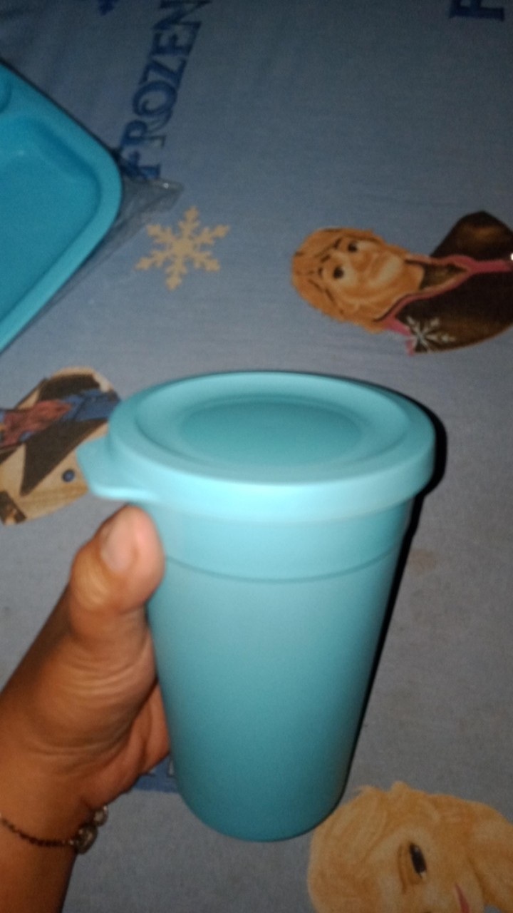 Hoya Tumbler Profil 400ml Bpa Free