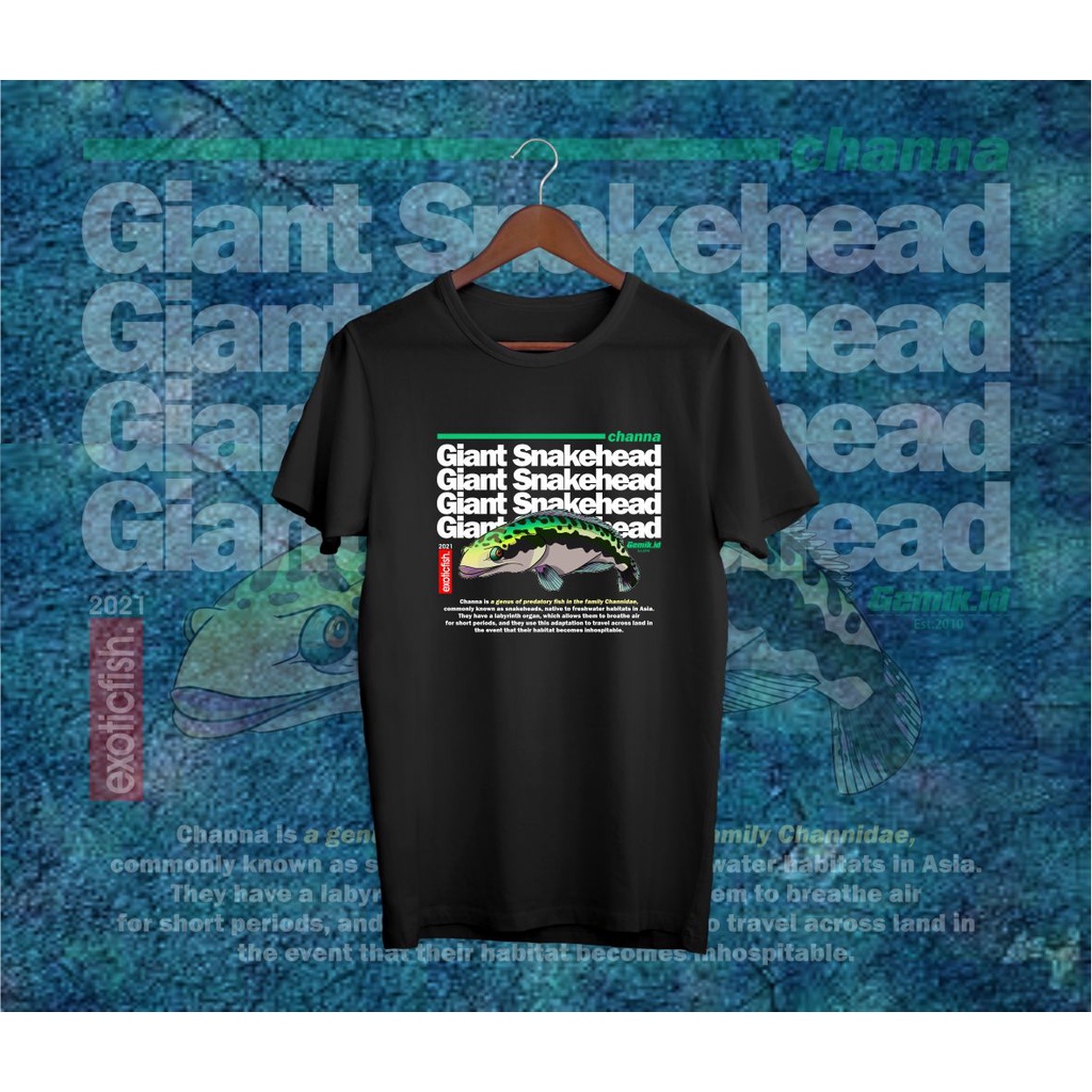 KAOS CHANNA SNAKEHEAD fish keepers