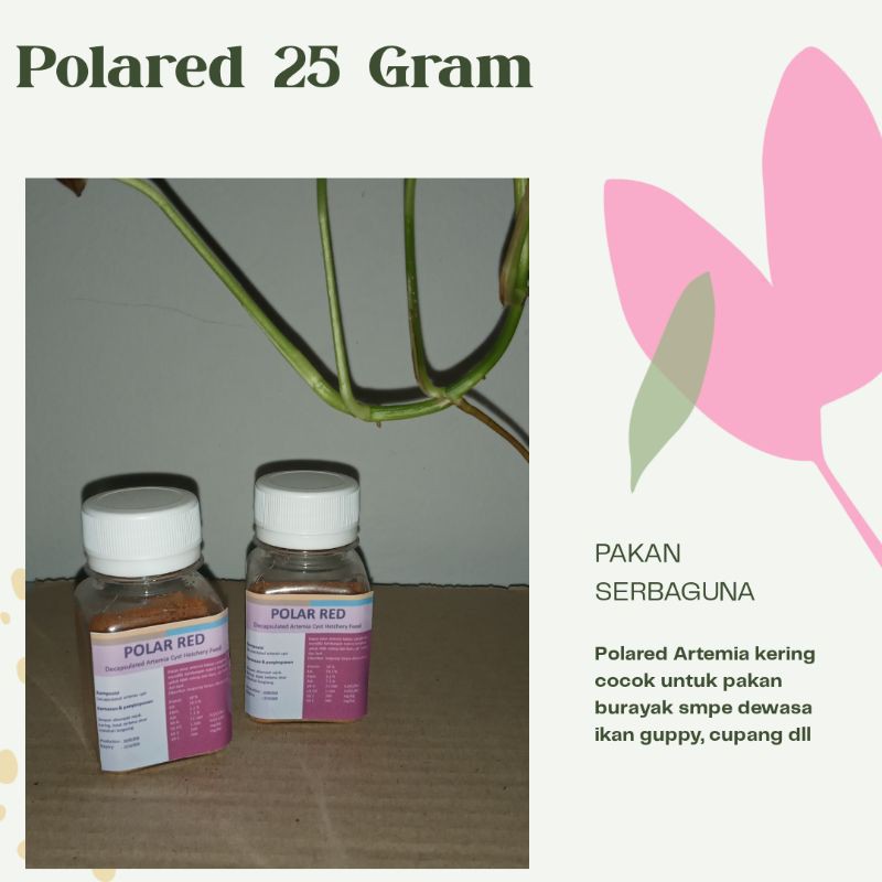 Artemia Polared 25 Gram