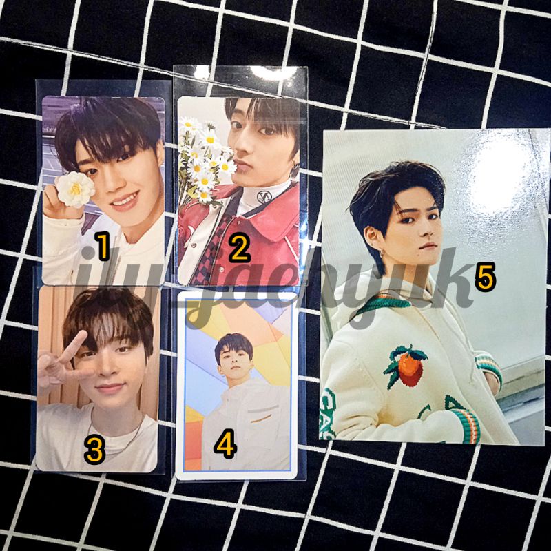 Photocard Treasure / YGS 4Cut / Photocard Asahi Haruto Doyoung Junghwan