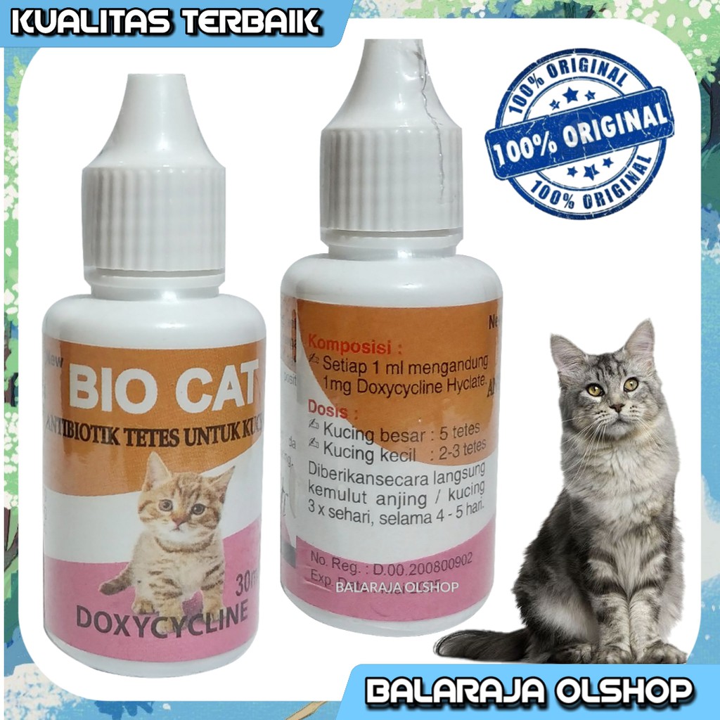 ANTIBIOTIK KUCING OBAT DIARE GANGGUAN PERNAPASAN FLU PILEK DEMAM KUCING KITTEN - BIO CAT