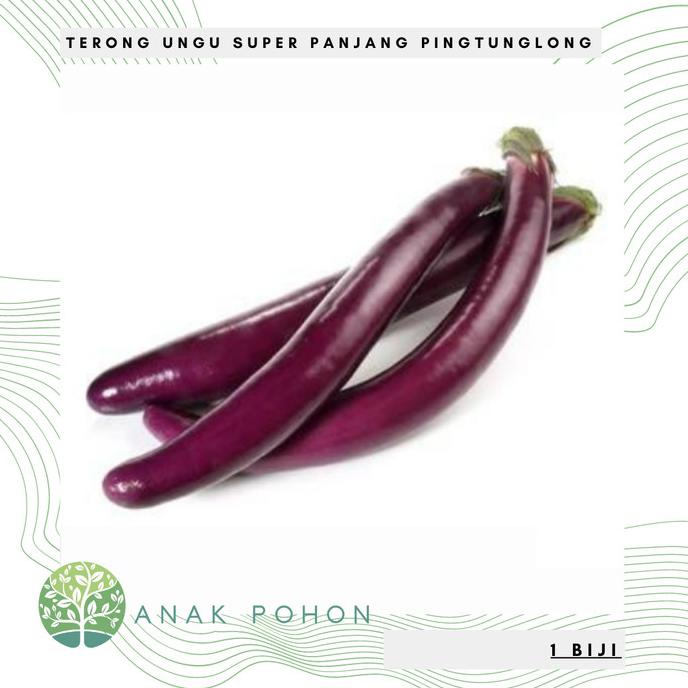 Benih Bibit Biji - Terong Ungu Pingtung Long Panjang F1 Hibrida (5 biji) ANPN62