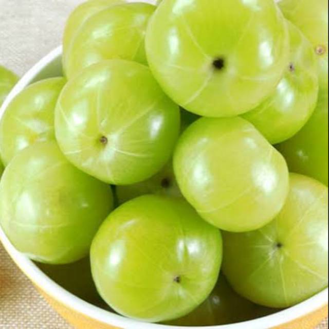 

Buah Malaka penuh Khasiat