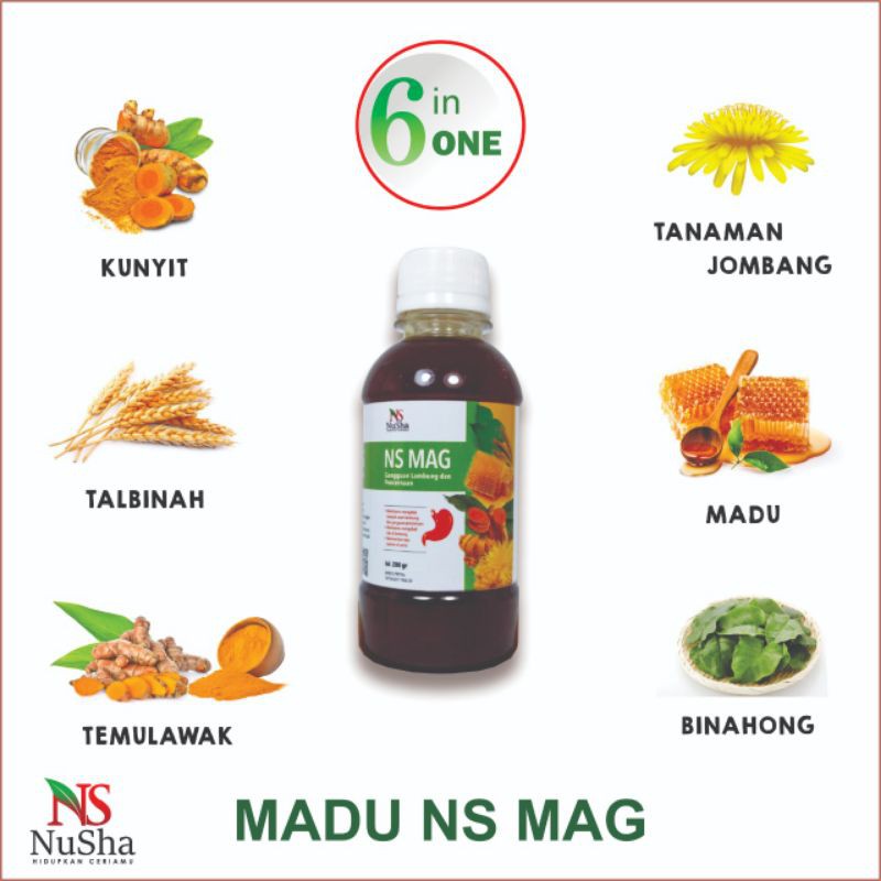 Official Store Beli 2 Madu NS MAG GERATIS 2 jahe merah, Madu Maag Asam Lambung, GERD, Mag atau Maag, Saluran Pencernaan - 280 gr