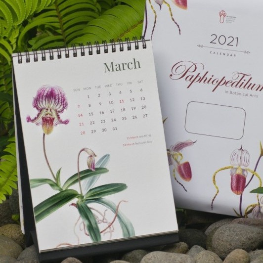 

READY Kalender Meja 2021 IDSBA Paphiopedillum in Botanical Art SALE
